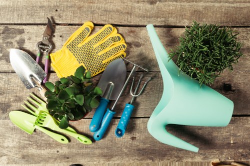 Professional hedge trimming services in Rotherhithe
