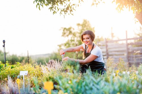 Sustainable plants suitable for Rotherhithe