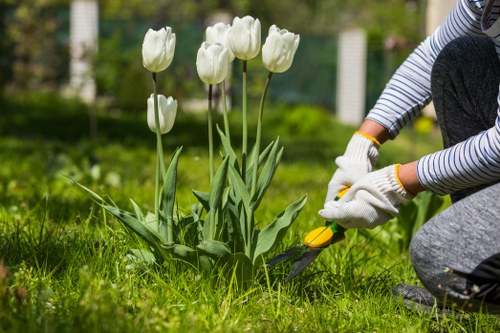 Gardener inspecting trimmed hedge before complaint review