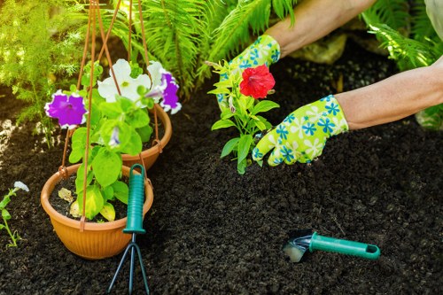 Eco-friendly lawn care practices being implemented