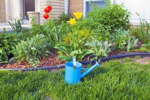 The image depicts a well-maintained front garden in Rotherhithe with a lush, green lawn in the foreground, showing dense, healthy grass with a slightly textured surface. Behind the lawn, there is a flower bed edged with black garden border material, containing a variety of blooming flowers and plants. Prominent among these are tall yellow tulips and red tulips, along with other greenery and foliage plants. The flower bed is situated directly against a house with cream and purple exterior walls, and a window partly visible in the background. A light blue watering can, made of metal or plastic, is placed on the grass near the flower bed, suggesting ongoing garden maintenance. The environment appears to be outdoors on a bright, clear day, with natural daylight illuminating the scene. The setting reflects typical residential landscaping with a focus on vibrant flower planting and healthy turf, consistent with professional gardening services often offered by companies like Hedge Trimming Rotherhithe, serving the local community with lawn and garden care expertise.