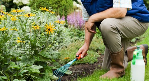 Expert in lawn maintenance using modern equipment