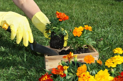 Essential garden maintenance tools laid out