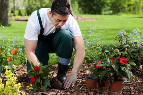 Insurance certificate and documents for an insured gardening company