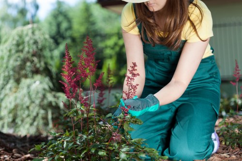Garden maintenance tasks for different seasons