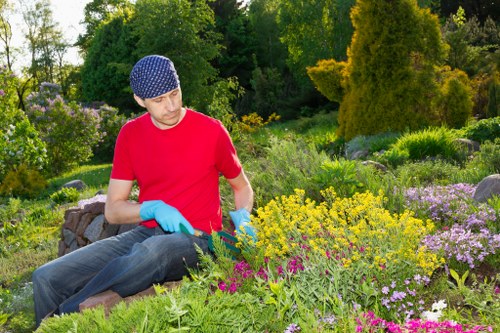 Soil testing and plant selection for landscape gardening in Rotherhithe