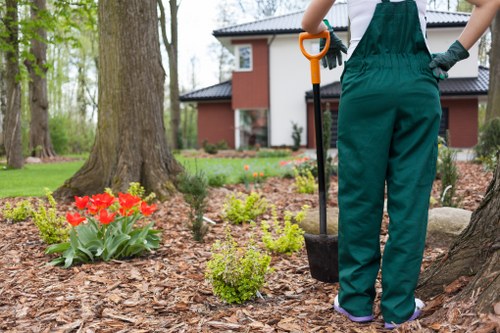 Eco-friendly landscaping features in Rotherhithe