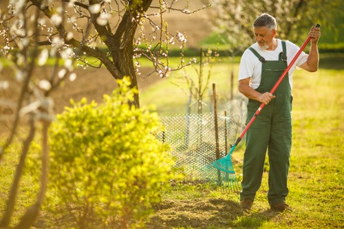 Professional garden maintenance services in Rotherhithe