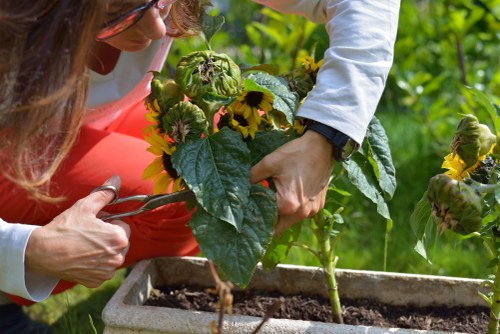 Efficient garden maintenance and clearance process