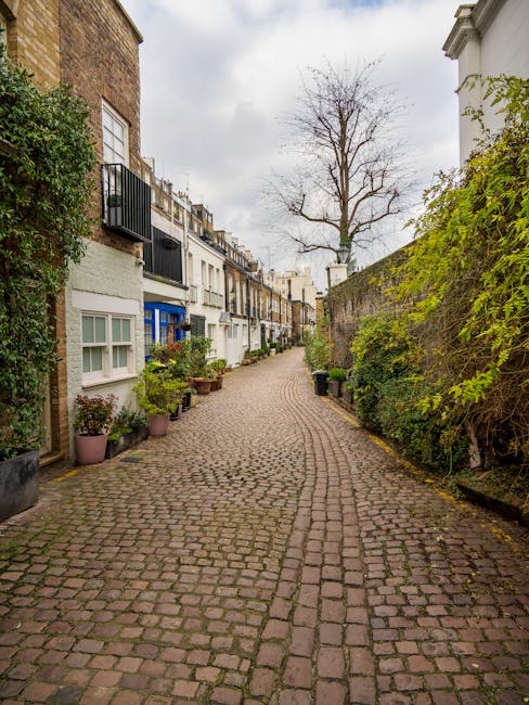 A quiet residential street in Rotherhithe lined with terraced houses featuring a mix of brick and white painted facades. The cobblestone pathway is bordered by small garden beds and potted plants, inc