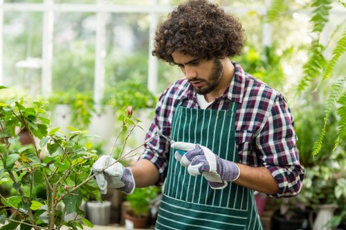 A young man with curly hair wearing a checkered shirt, a green striped apron, and gardening gloves, carefully inspecting a small leafed plant in a lush greenhouse filled with various green plants, foliage, and climbing vines. The greenhouse features a glass structure allowing natural light to illuminate the vibrant greenery, with a variety of potted plants and shrubs visible in the background. The scene captures a professional gardening environment typical of outdoor maintenance and landscape care services in Rotherhithe, emphasizing detailed plant care within a well-maintained, organized space dedicated to horticulture.